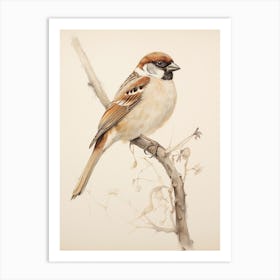 Vintage Bird Drawing Sparrow 3 Art Print