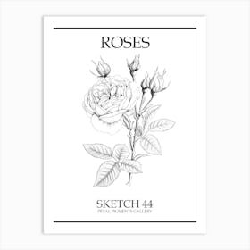 Roses Sketch 44 Poster Art Print