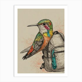 Hummingbird With Backpack Art Print