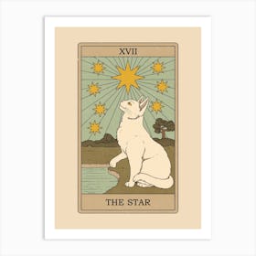 The Star   Cats Tarot Art Print