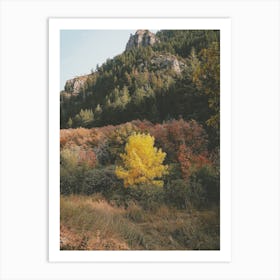 First Autumn Leaves Art Print