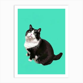 Cat Portrait 6 Art Print