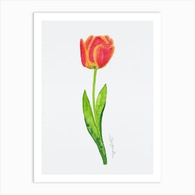 Tulip5 Art Print