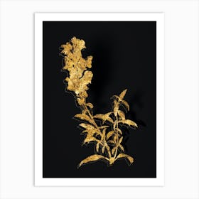 Vintage Red Dragon Flowers Botanical in Gold on Black n.0086 Art Print