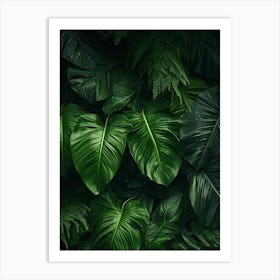 Tropical Leaves Background Art Print