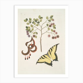 Butterfly On A Branch Art Print