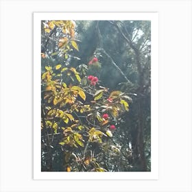 Rhododendrons In A Forest 3 By Binod Dawadi Art Print