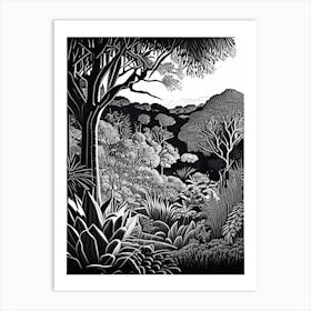 Kirstenbosch National Botanical Garden, 1, South Africa Linocut Black And White Vintage Art Print