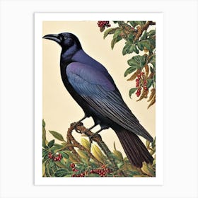 Raven Haeckel Style Vintage Illustration Bird Art Print