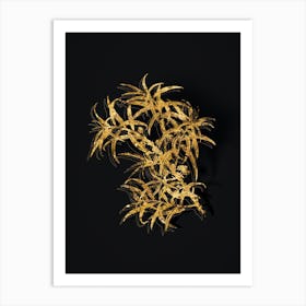 Vintage Common Sea Buckthorn Botanical in Gold on Black n.0089 Art Print