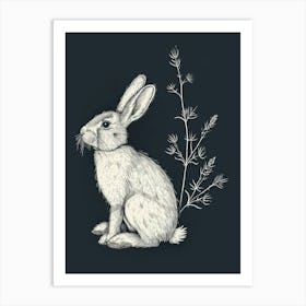 American Sable Rabbit Minimalist Illustration 1 Art Print