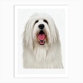 Old English Sheepdog Illustration Dog Art Print