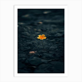 Single Yellow Flower 49 Art Print