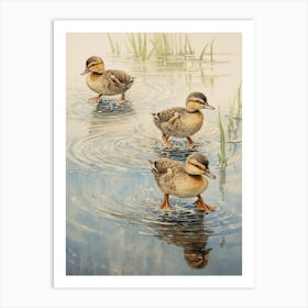 Ducklings Splashing Around In The Water 1 Art Print
