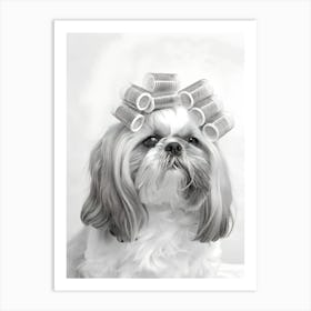 Shih Tzu Dog Art Print