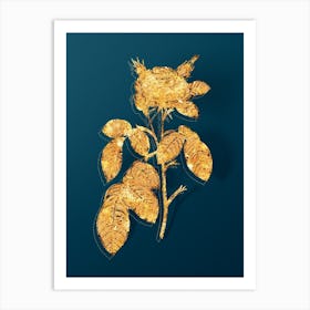 Vintage Red Gallic Rose Botanical in Gold on Teal Blue n.0276 Art Print