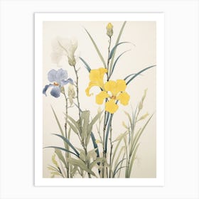 Hanashobu Japanese Water Iris 1 Vintage Japanese Botanical Art Print