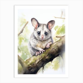 Light Watercolor Painting Of A Common Brushtail Possum 1 Art Print