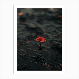 Single Flower In Water 16 Art Print