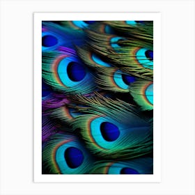 Peacock Feathers Art Print