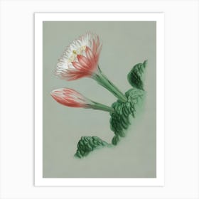 Cactus Flower 2 Art Print