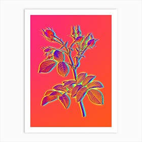 Neon Evrat's Rose with Crimson Buds Botanical in Hot Pink and Electric Blue n.0493 Art Print