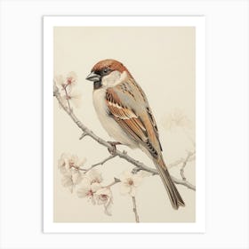 Vintage Bird Drawing Sparrow 1 Art Print