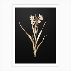Gold Botanical Sword Lily on Wrought Iron Black n.0447 Art Print