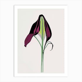 Jack In The Pulpit Floral Minimal Line Drawing 3 Flower Art Print