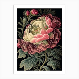 Peony Floral Botanical Vintage Poster Flower Art Print