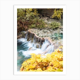 Turquoise Water Yellow Leaves Art Print