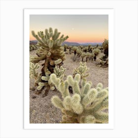 Cholla Cactus Garden at Sunset, Joshua Tree National Park 2 - Vertical Art Print