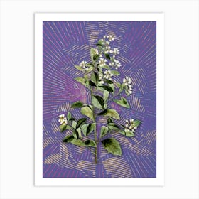 Vintage Eastern Baccharis Botanical Illustration on Veri Peri n.0626 Art Print