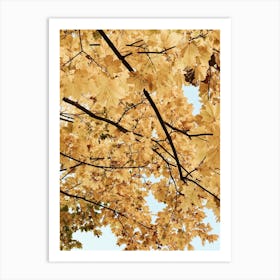 Autumn Leaves Art Print