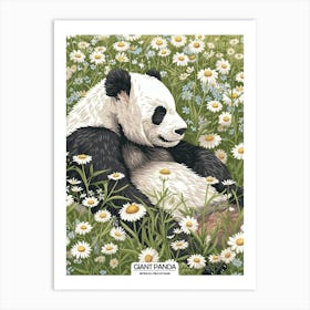 Giant Panda Resting In A Field Of Daisies Poster 1 Art Print