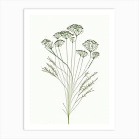 Caraway Herb Minimalist Watercolour 3 Art Print