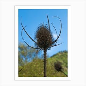 Thistle II 20210831 305ppub Art Print