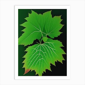 Thimbleberry Leaf Vibrant Inspired 2 Art Print