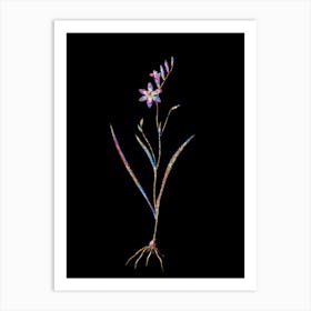 Stained Glass Ixia Secunda Mosaic Botanical Illustration on Black n.0076 Art Print