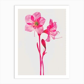 Hot Pink Amaryllis 1 Art Print