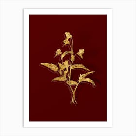 Vintage Blue Spiderwort Botanical in Gold on Red n.0161 Art Print