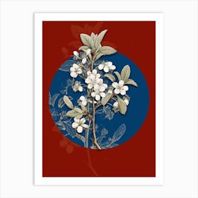 Vintage Botanical White Plum Flower on Circle Blue on Red n.0028 Art Print