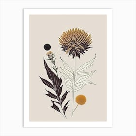 Elecampane Spices And Herbs Retro Minimal 3 Art Print