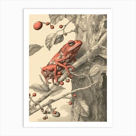 Red Tree Frog Vintage Botanical 6 Art Print