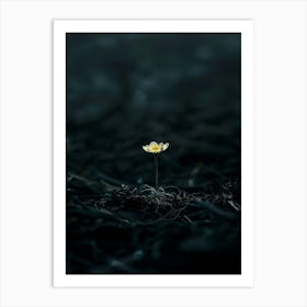 Single Flower In The Dark 74 Art Print