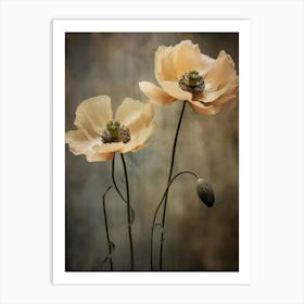 Poppies 21 Art Print