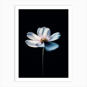 White Flower 2 Art Print