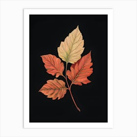 Autumn Leaves 14 Art Print