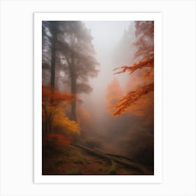 Enchanted Woods Art Print