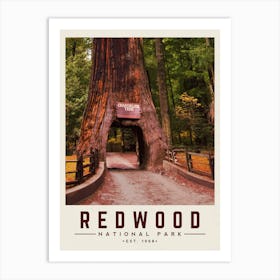Redwood Minimalist Travel Poster Art Print